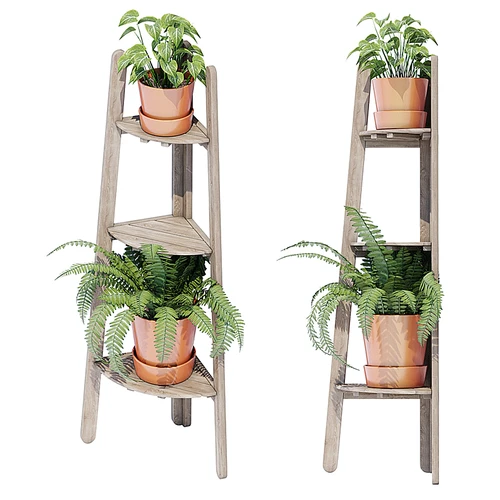 现代植物盆栽