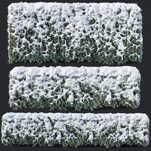 现代冬天雪灌木