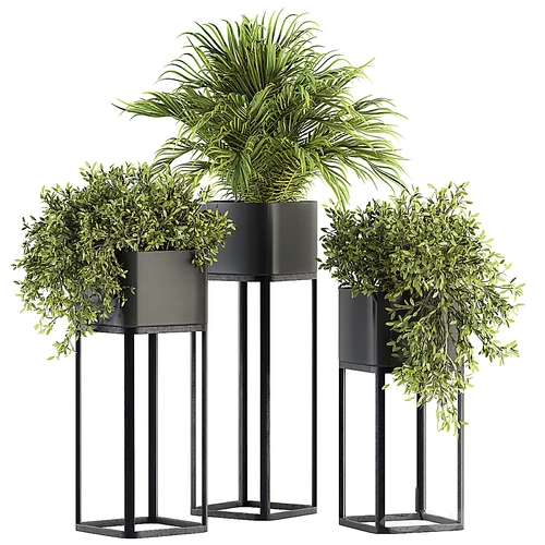 现代绿植盆栽花架