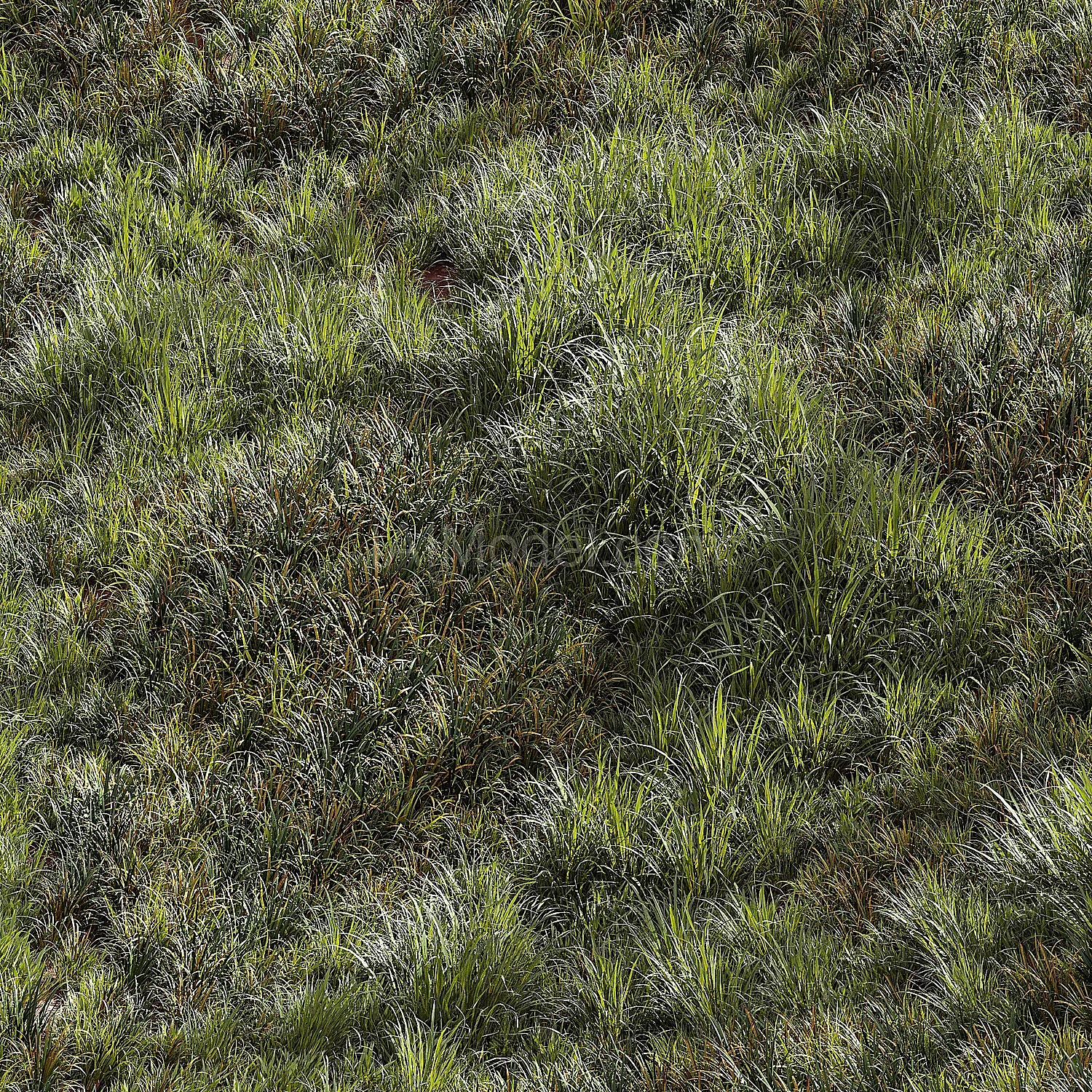 img2