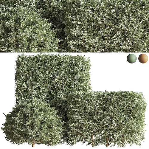 现代绿植枯枝灌木丛