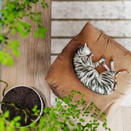 现代宠物猫3d模型