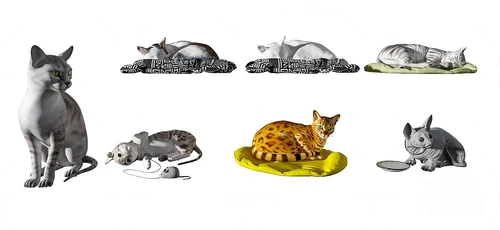 现代宠物猫3d模型