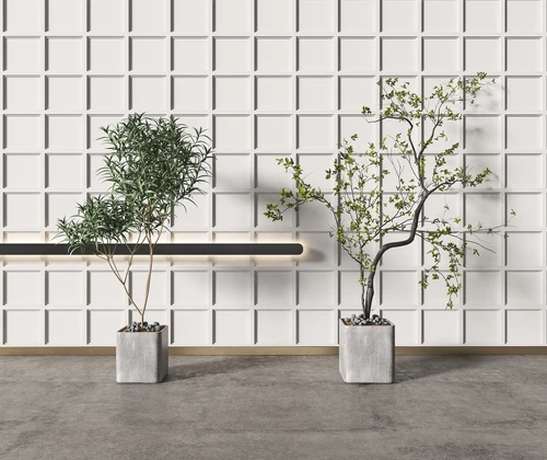 现代绿植盆栽