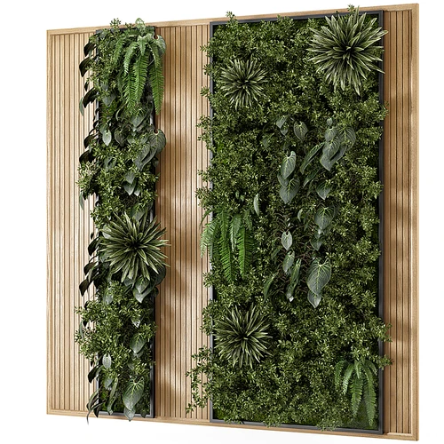 现代植物墙