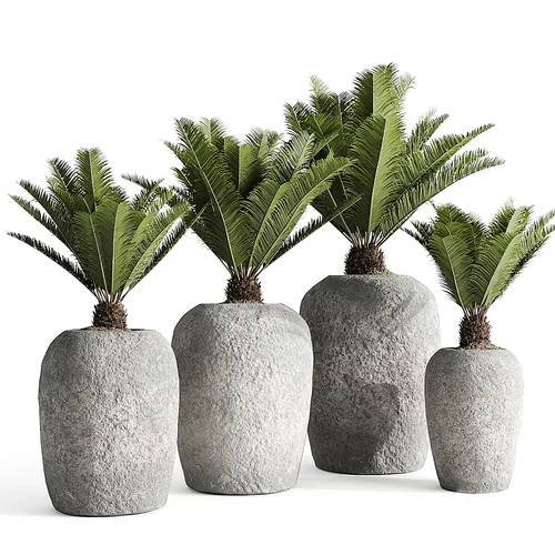 现代绿植盆栽