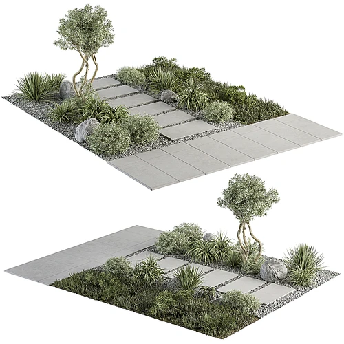 现代庭院植物景观