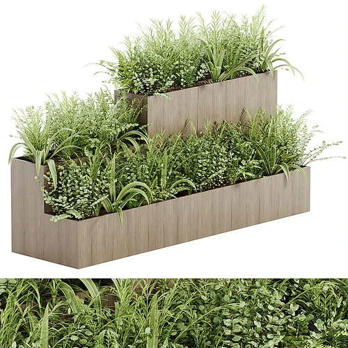 现代花圃植物盆栽
