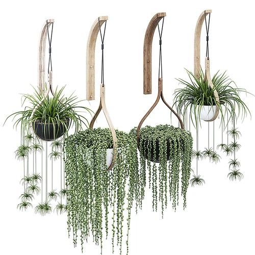 现代植物吊篮