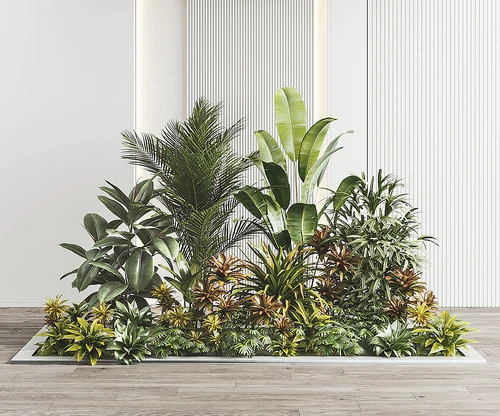 现代植物堆