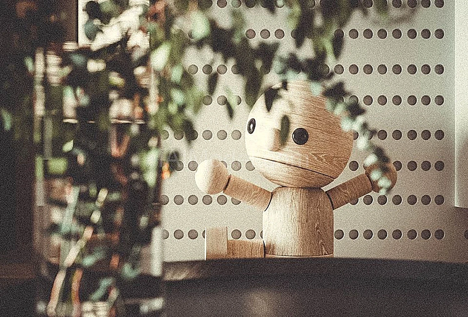img5