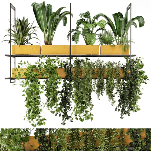 金属盒室内悬挂植物
