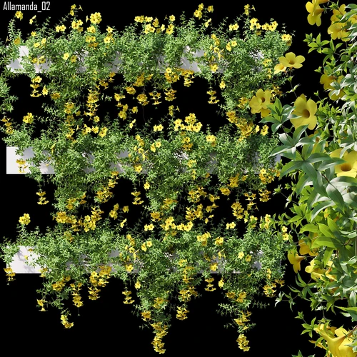 现代绿植堆
