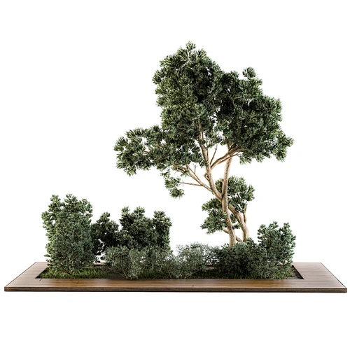 现代灌木植物堆