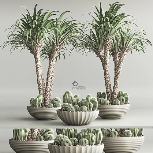 绿植盆栽