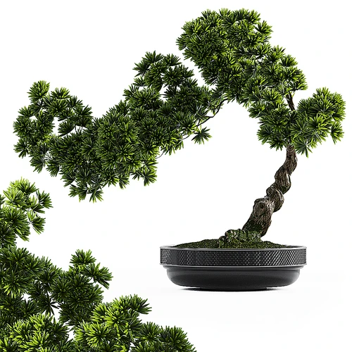 新中式松树盆栽
