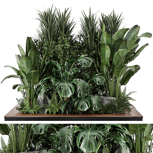 现代绿植盆栽