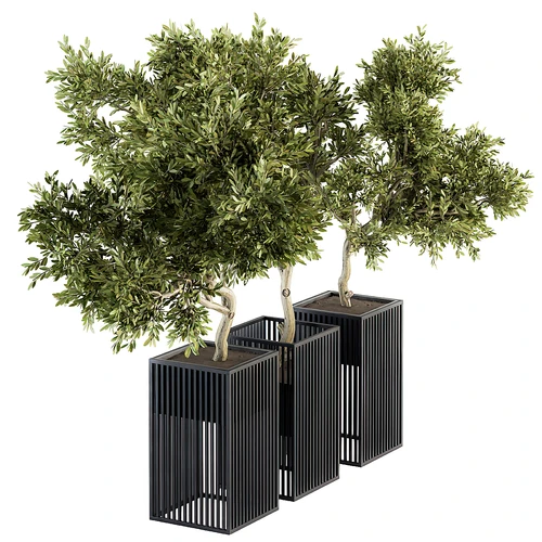 现代绿植盆栽