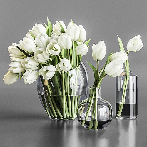郁金香花