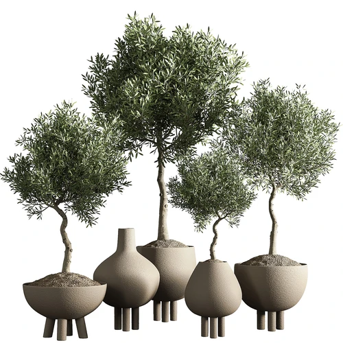 现代绿植盆栽组合