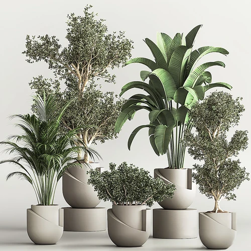 现代绿植盆栽组合