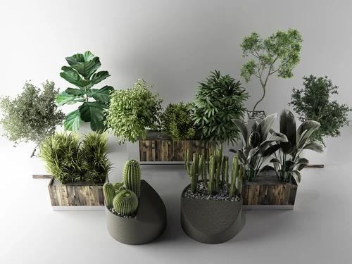 现代植物盆栽盆景花草组合