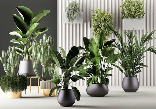 现代植物盆栽盆景绿植花草组合