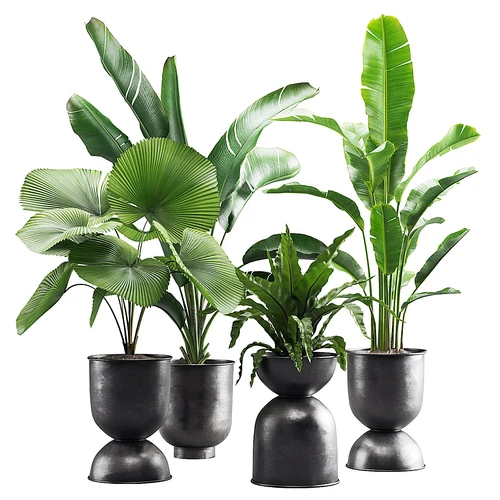 现代盆栽绿植摆件
