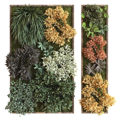 现代绿植植物墙