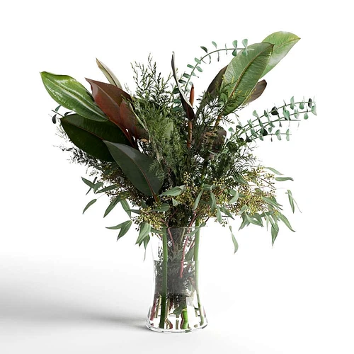 植物摆件