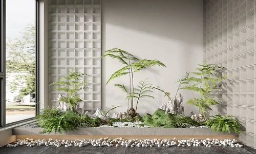 现代植物假山造景