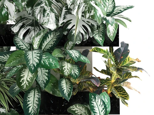 现代绿植植物墙组合
