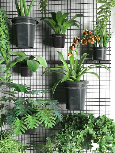 现代绿植盆栽植物墙组合