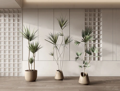 现代植物盆栽