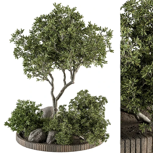 现代植物堆景观