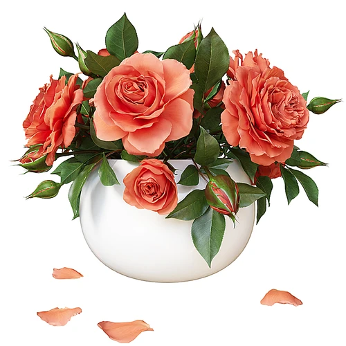 玫瑰花束