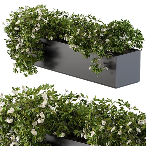 现代植物花槽盆栽