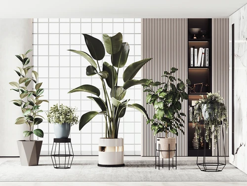 现代绿植盆栽