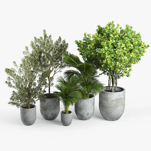 现代植物落地盆栽