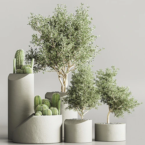 现代绿植盆栽