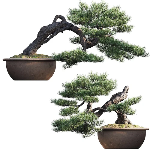 现代绿植盆栽