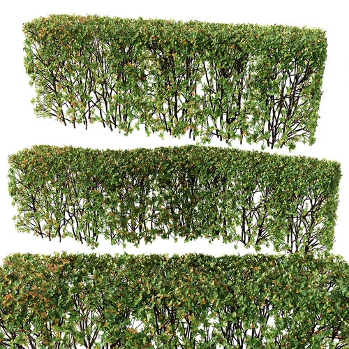 现代绿植灌木