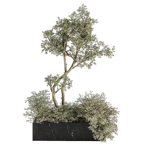 现代绿植灌木花坛