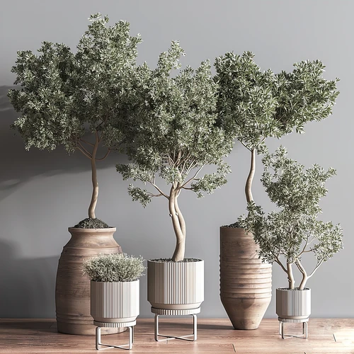 现代绿植盆栽