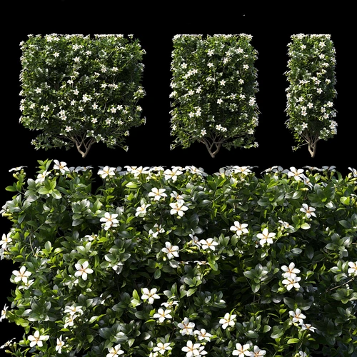 现代绿植栀子花模型