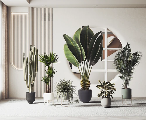 现代绿植盆栽