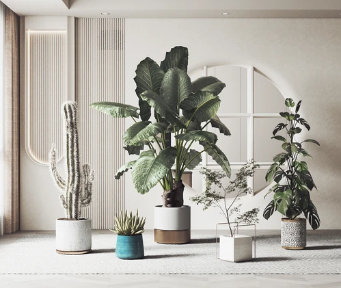 现代绿植盆栽