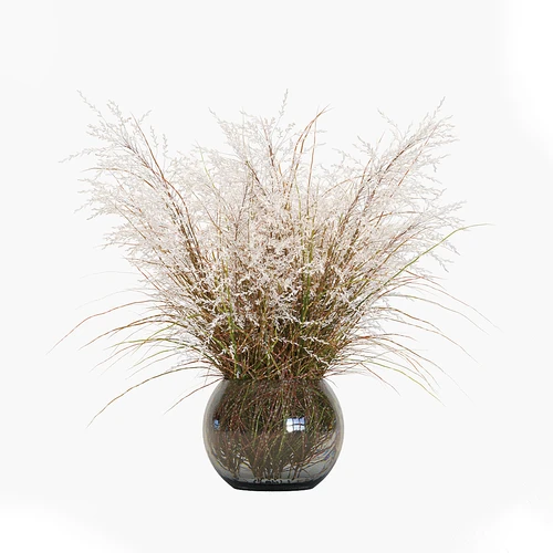 现代野草式花干枝