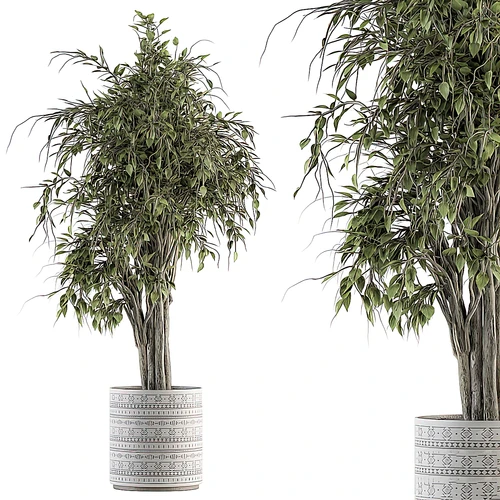 现代绿植盆栽