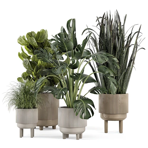 现代绿植盆栽
